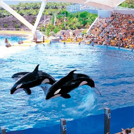 Apartamento Bright And Quiet With Ocean View