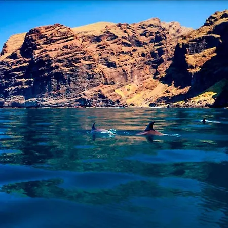 Bright And Quiet With Ocean View * Costa Adeje (Tenerife)